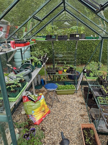 IMG_20220424_170747334_HDR