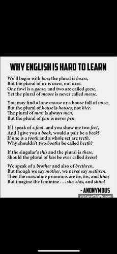 FB_IMG_1723135274076
