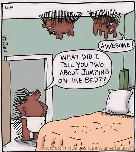 FB_IMG_1716039988278