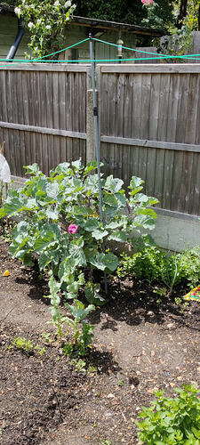 IMG_20260612_130518