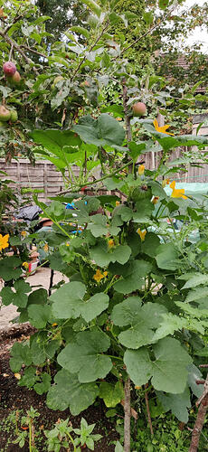 IMG_20260820_084456