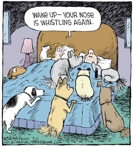 FB_IMG_1715521808232