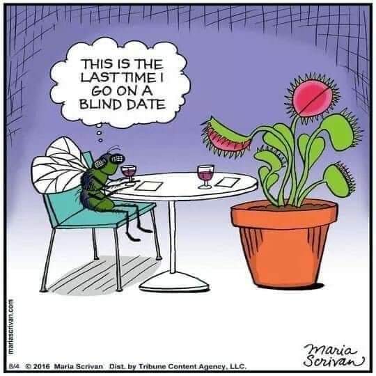 FB_IMG_1716030409011