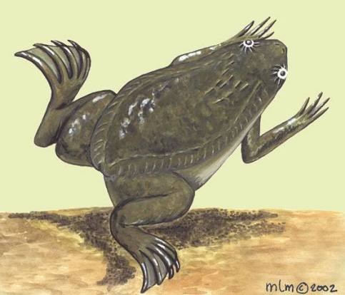 copyImage