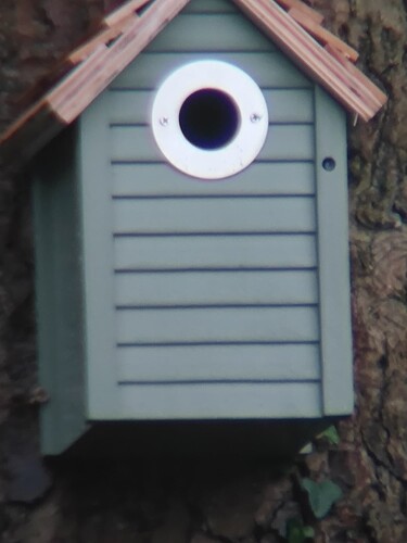 36x-5xLens