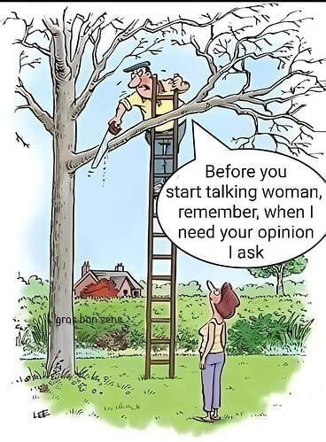 FB_IMG_1728060610754
