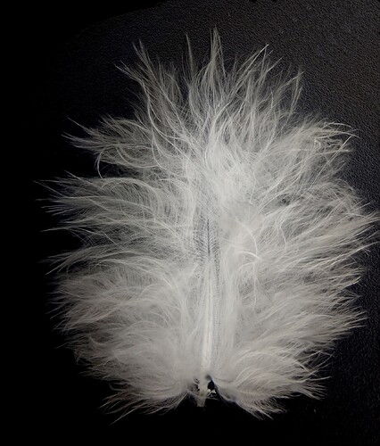 Feather