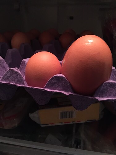 eggs