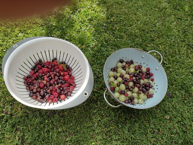 IMG_20220707_093844989_HDR