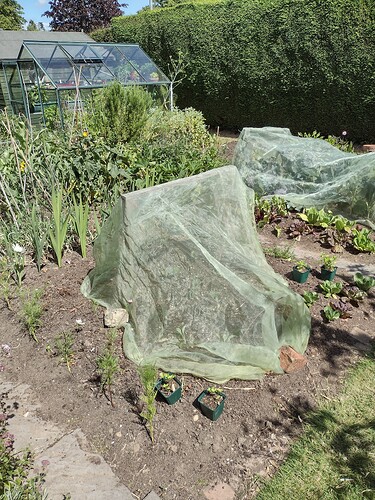 IMG_20220713_135002325_HDR