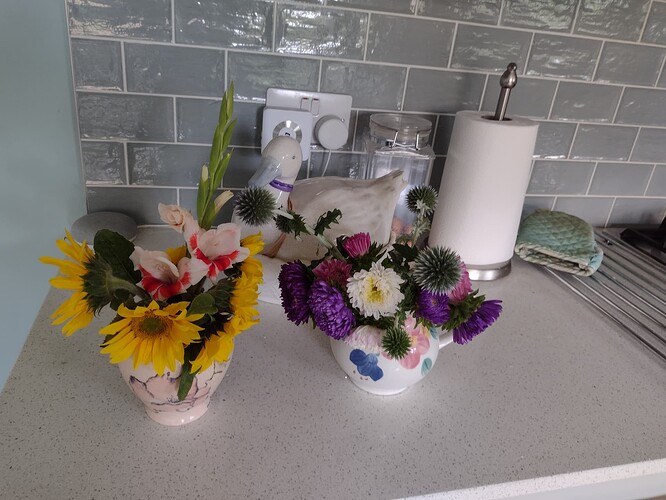 IMG_20220817_112637546