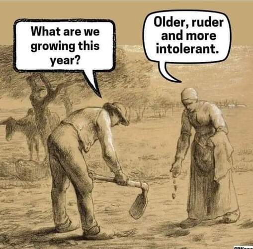 FB_IMG_1729701980865