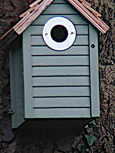 birdbos_sharpened