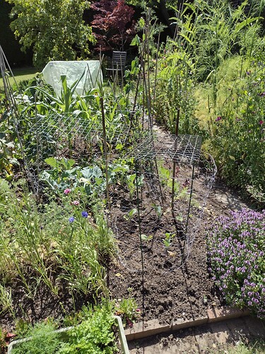 IMG_20220713_135021879_HDR