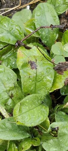 IMG_20260725_121800