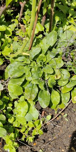 IMG_20260725_122148