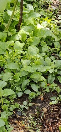 IMG_20260725_100104