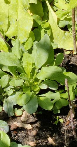 IMG_20260725_121418