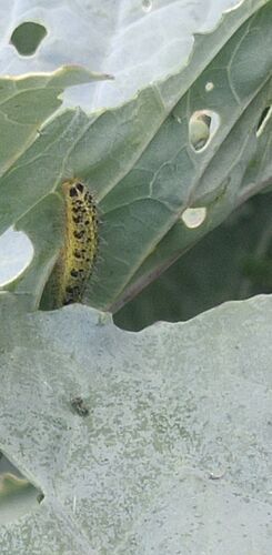 IMG_20260717_185141