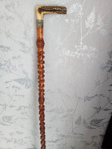 IMG_20210307_142444_817