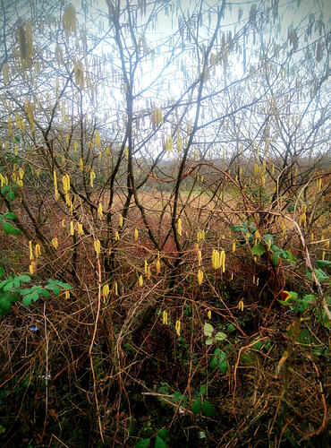 IMG_20260125_131026~2