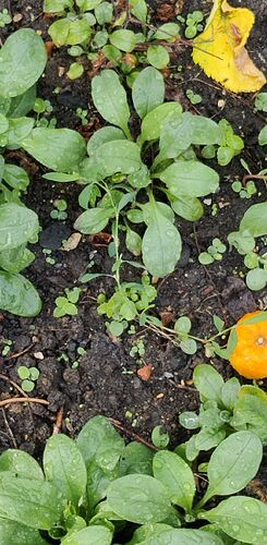 IMG_20260725_100151