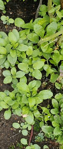 IMG_20260725_100141