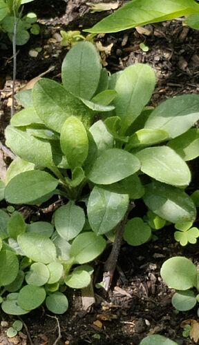 IMG_20260725_122133
