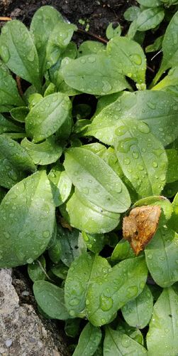 IMG_20260725_122214