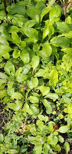 IMG_20260725_100135