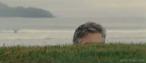 Lurker GIFs - Get the best gif on GIFER